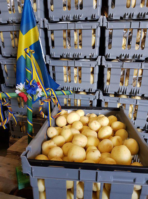 Images Gränsbo Potatis AB