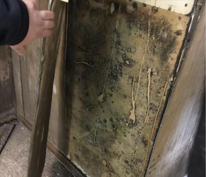 As we have explained in some of our blog posts, mold can often grow behind wallpaper and paneling where it is likely to stay moist. Here is an example of a mold remediation job we did after checking the paneling.