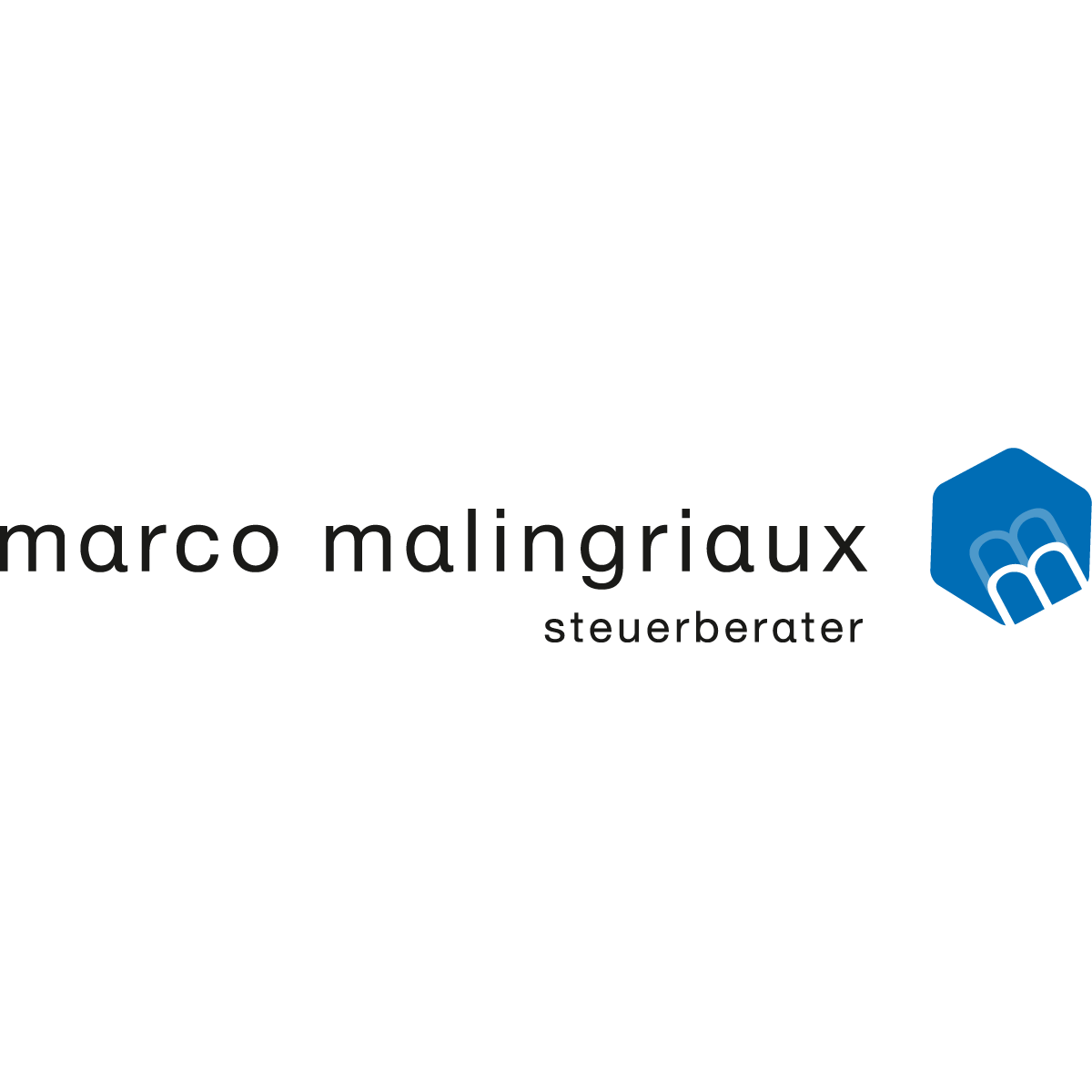 Logo Marco Malingriaux - Steuerberater