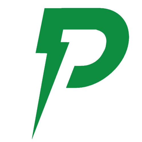 Premier Energy Solutions Inc Logo