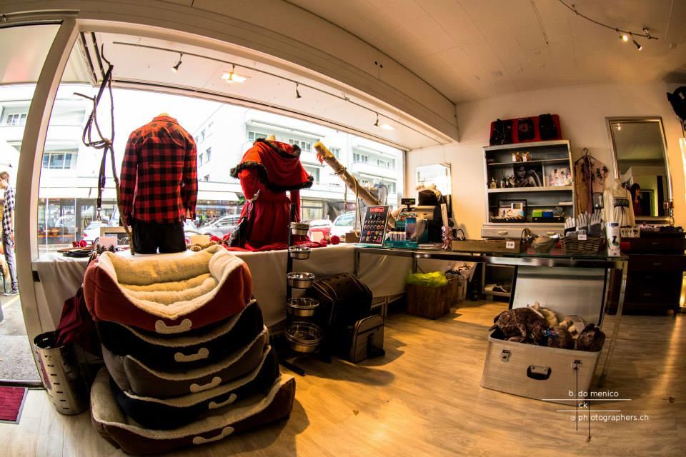 Nifeu GmbH, Gotthardstrasse 45 in Thalwil