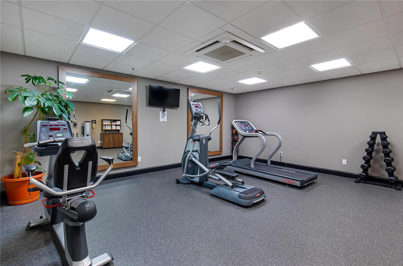 Health club fitness center gym