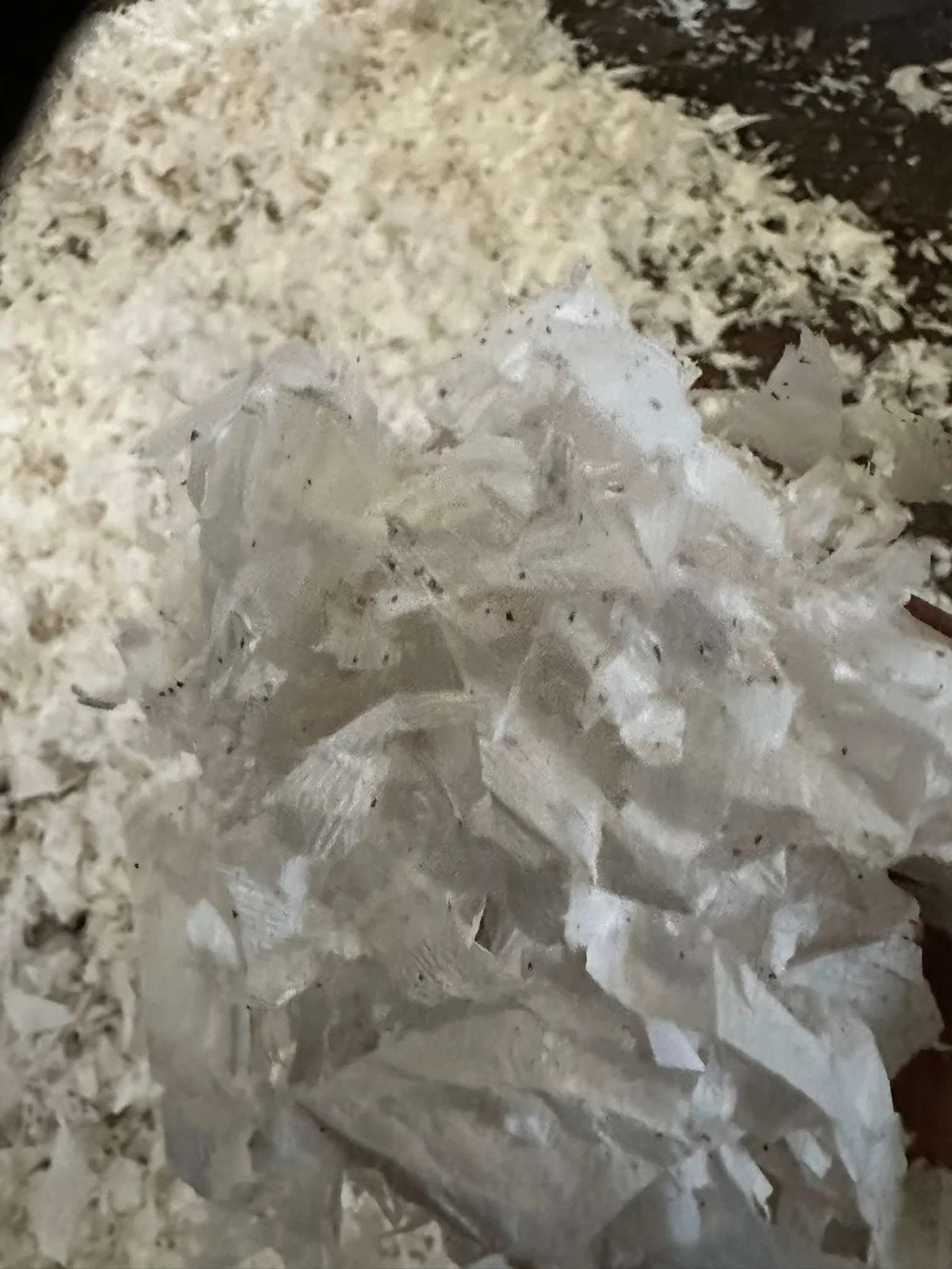 Images Easy Bedding & Feeds Ltd