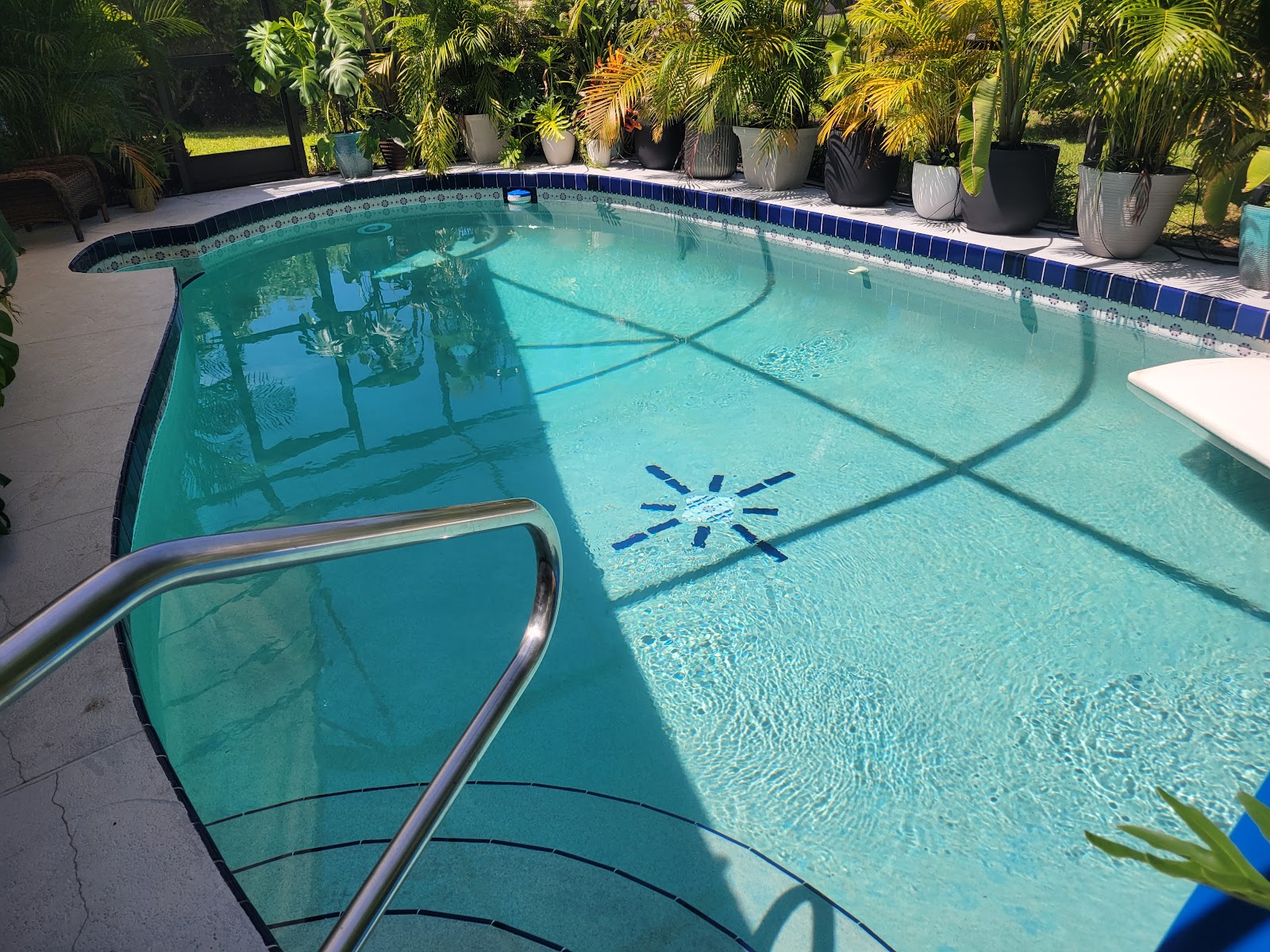 Residential swimming pool with clear turquoise water, decorative floor design, stainless steel handrail, and lush tropical landscaping.