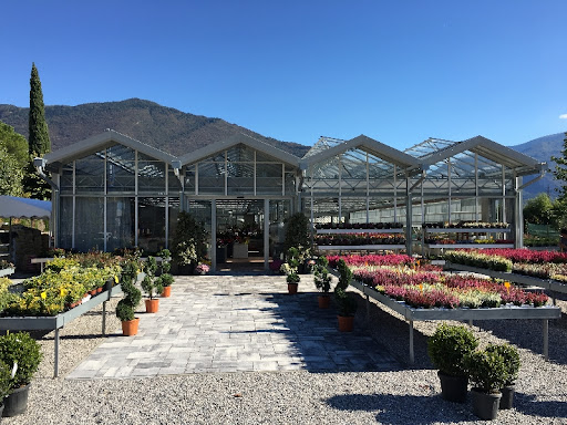 Images Floricoltura Bontadi Vivaio