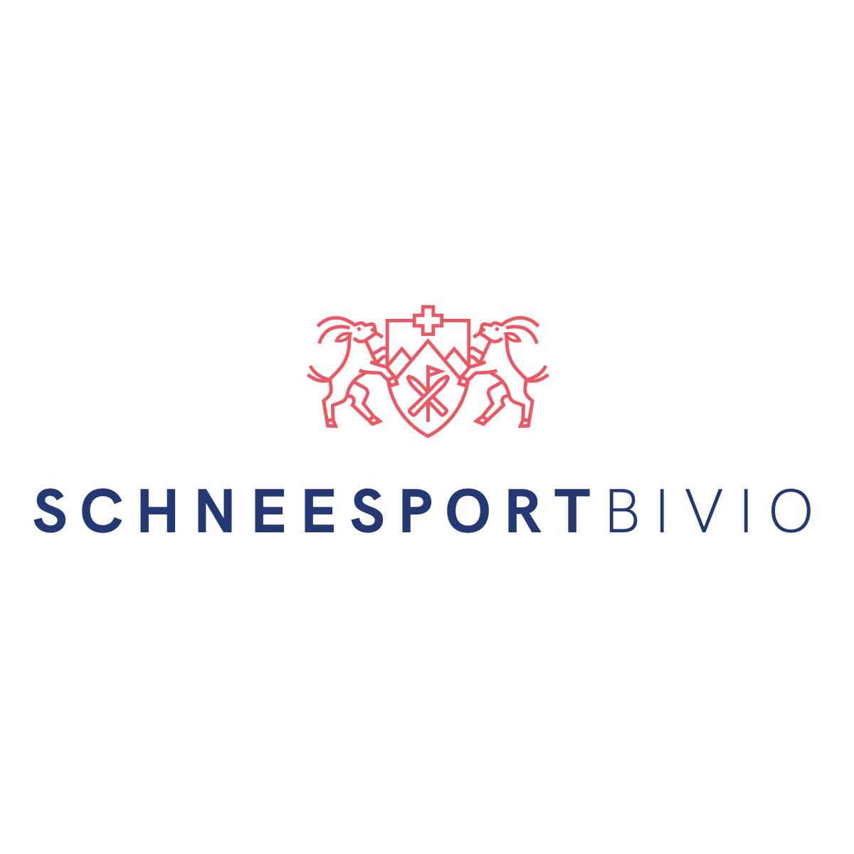 Schneesport Bivio Logo