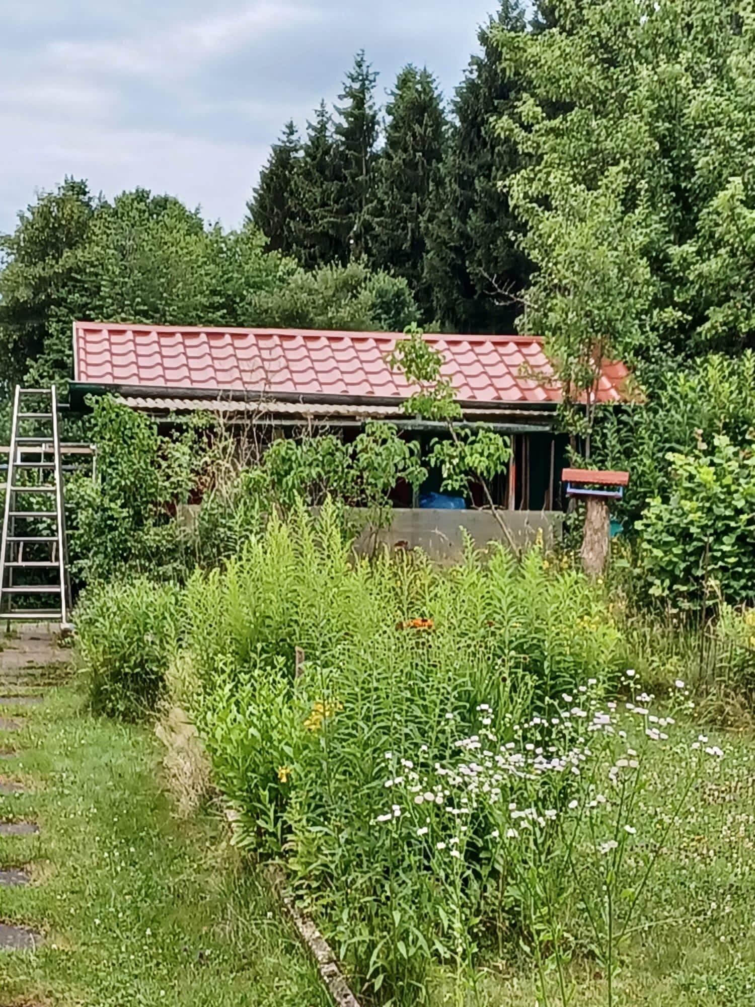 Bilder HDS Hausmeisterservice Entrümpelung Baumfällung Entkernung Demontage Altmetall-Entsorgung