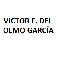 Víctor F. Del Olmo García Valladolid