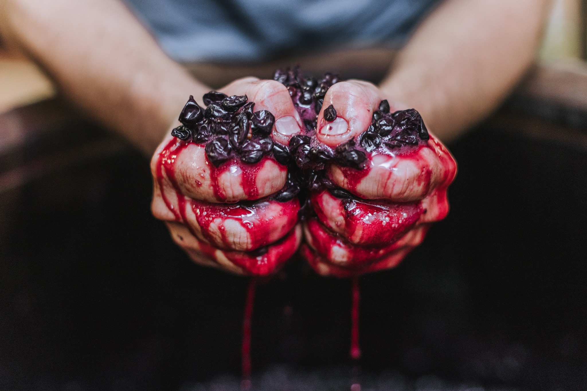 Wein-Danke - Weinshop - WiKa GmbH, Bahnhofstraße 8 in Garmisch-Partenkirchen