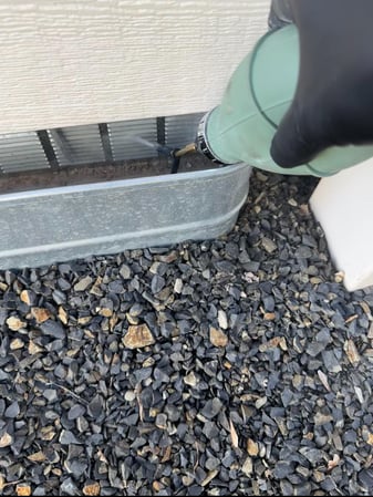 Images Candor Pest Control