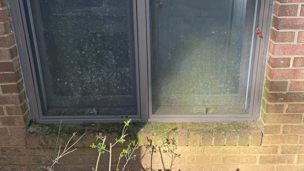 Images Alain's Pressure Washing