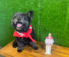 Images John Cole - State Farm Insurance Agent