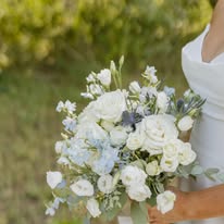 Liv Gracefully Blooms Image