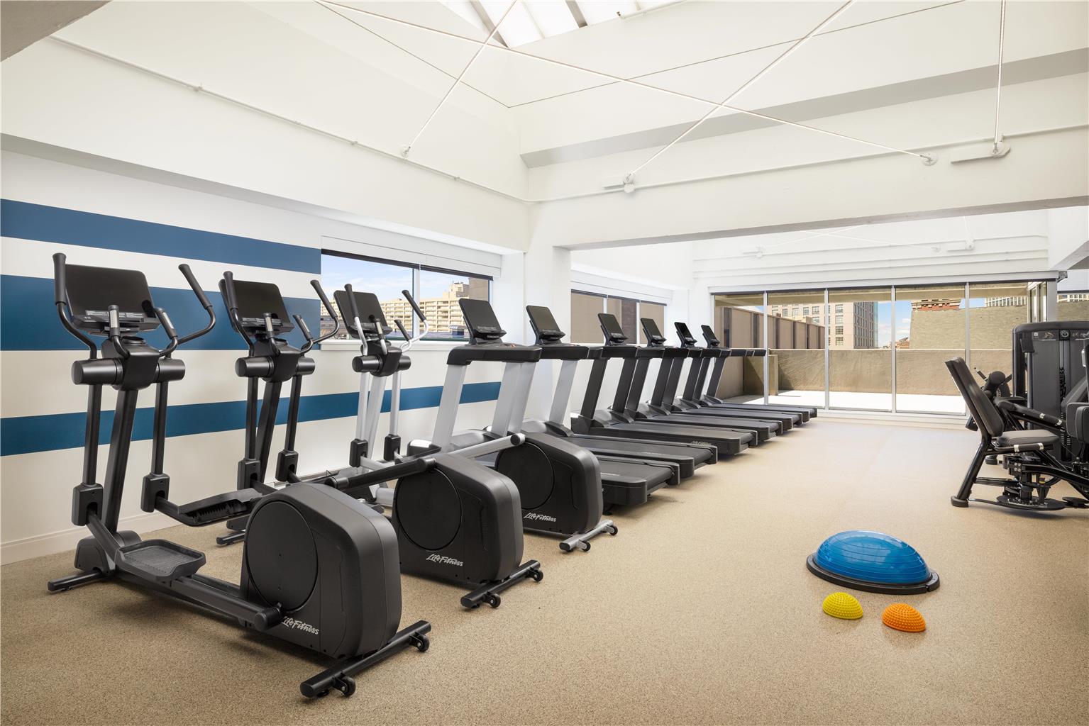 Health club  fitness center  gym 
