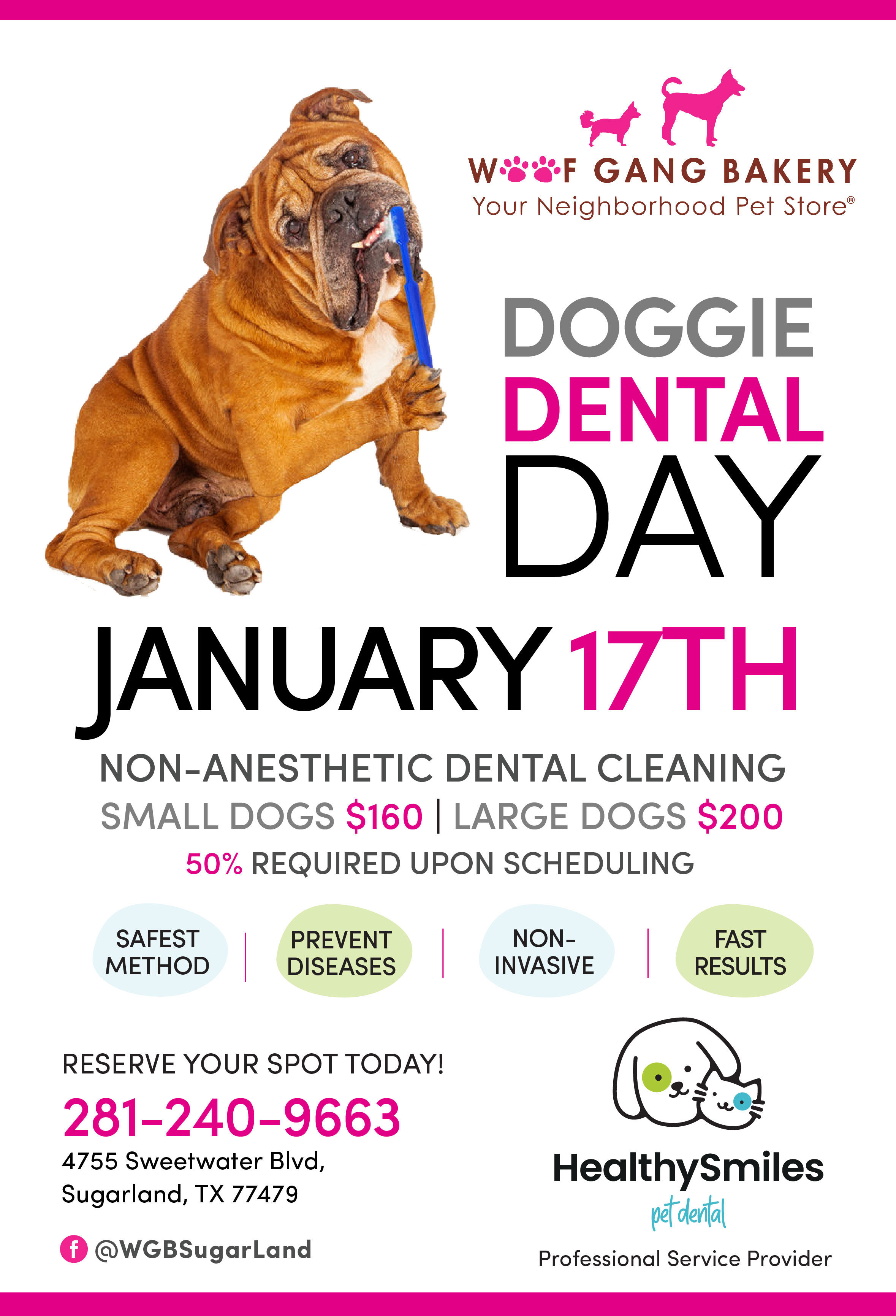 NonAnesthesia Doggie Dental Day Woof Gang Bakery And Grooming Sugar Land