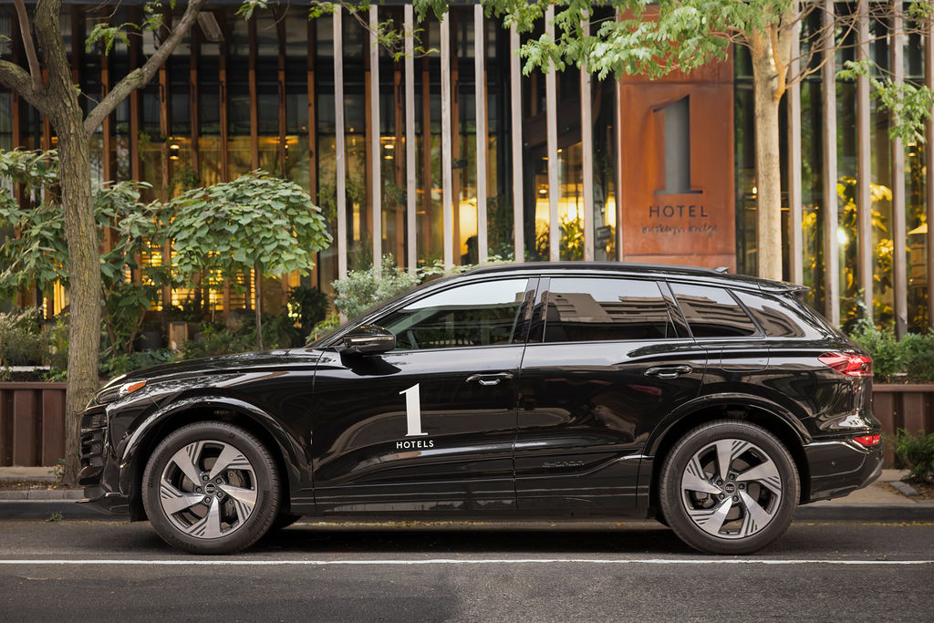 Electric Audi House Car 