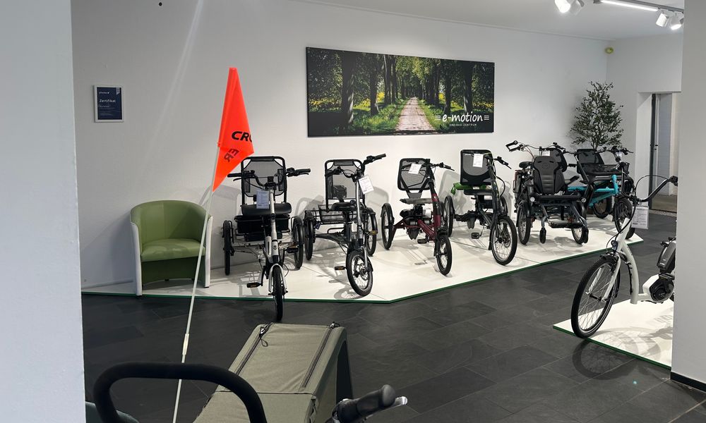 Kundenbild groß 7 e-motion e-Bike Welt, Dreirad- & Lastenfahrrad-Zentrum Hamburg