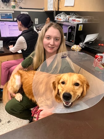 Images VCA All Pet Animal Hospital/Taylorsville