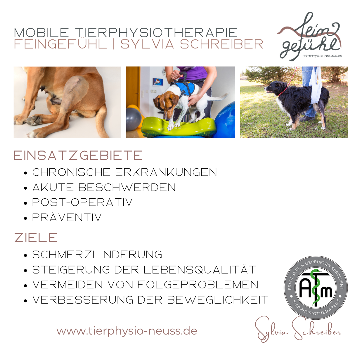 Tierphysiotherapie Feingefühl | mobile Tierphysiotherapie, Michaelstraße 9 in Neuss