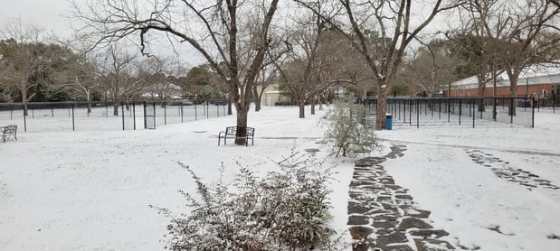 Images VCA Prestonwood Animal Hospital