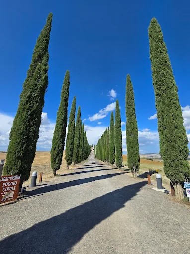 Agriturismo Poggio Covili