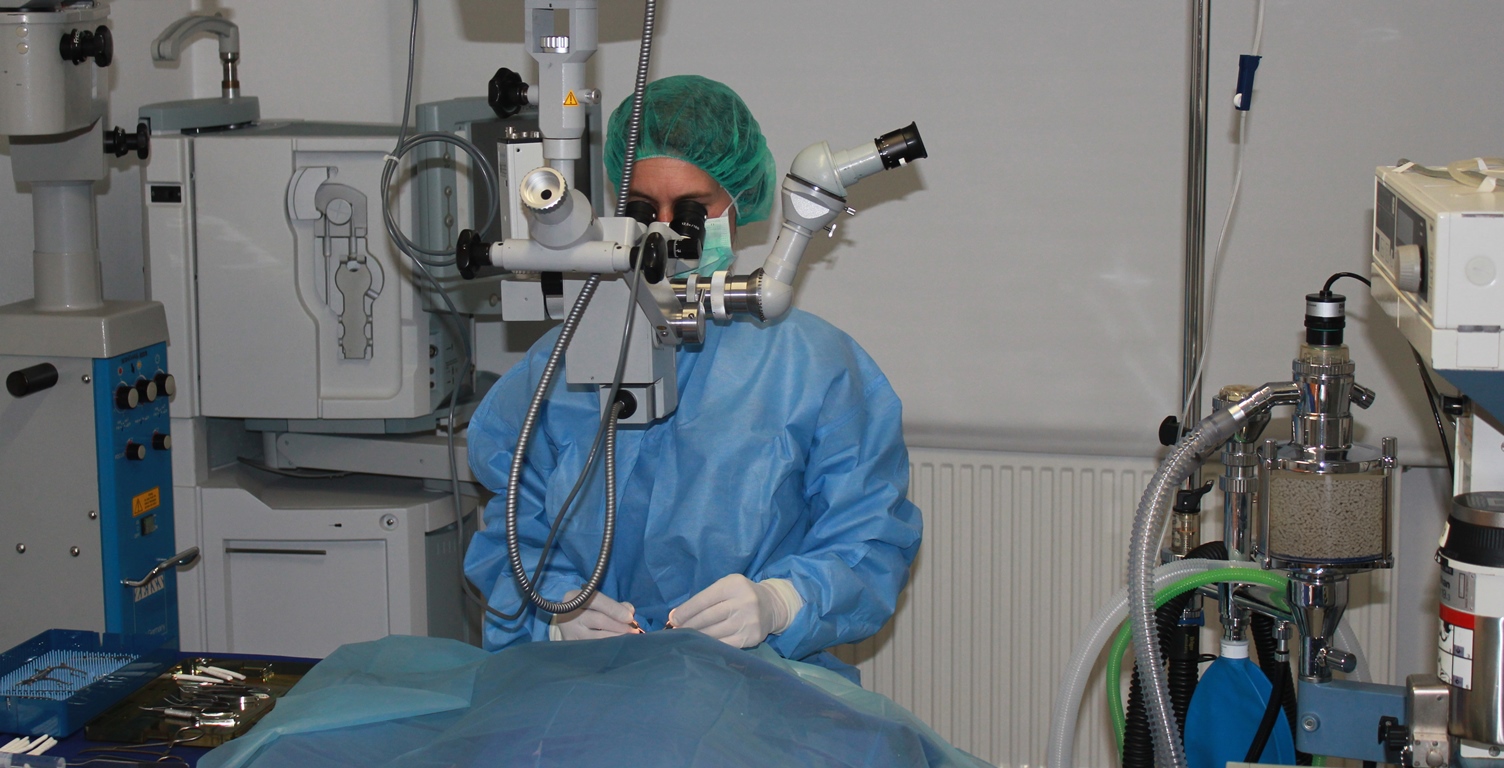 Tierärztliche Praxis für Augenheilkunde Leuzinger, Schleifweg 24 in Nürnberg