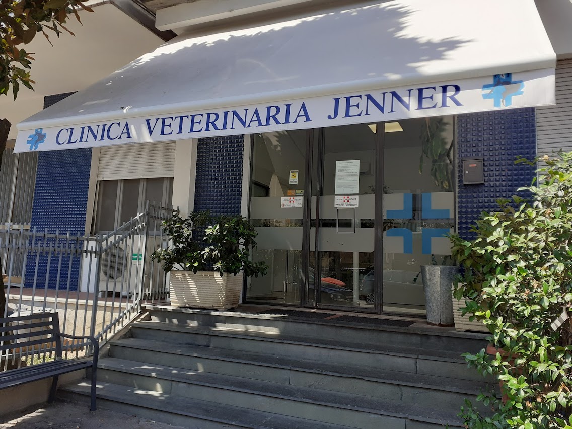Images Clinica veterinaria Jenner