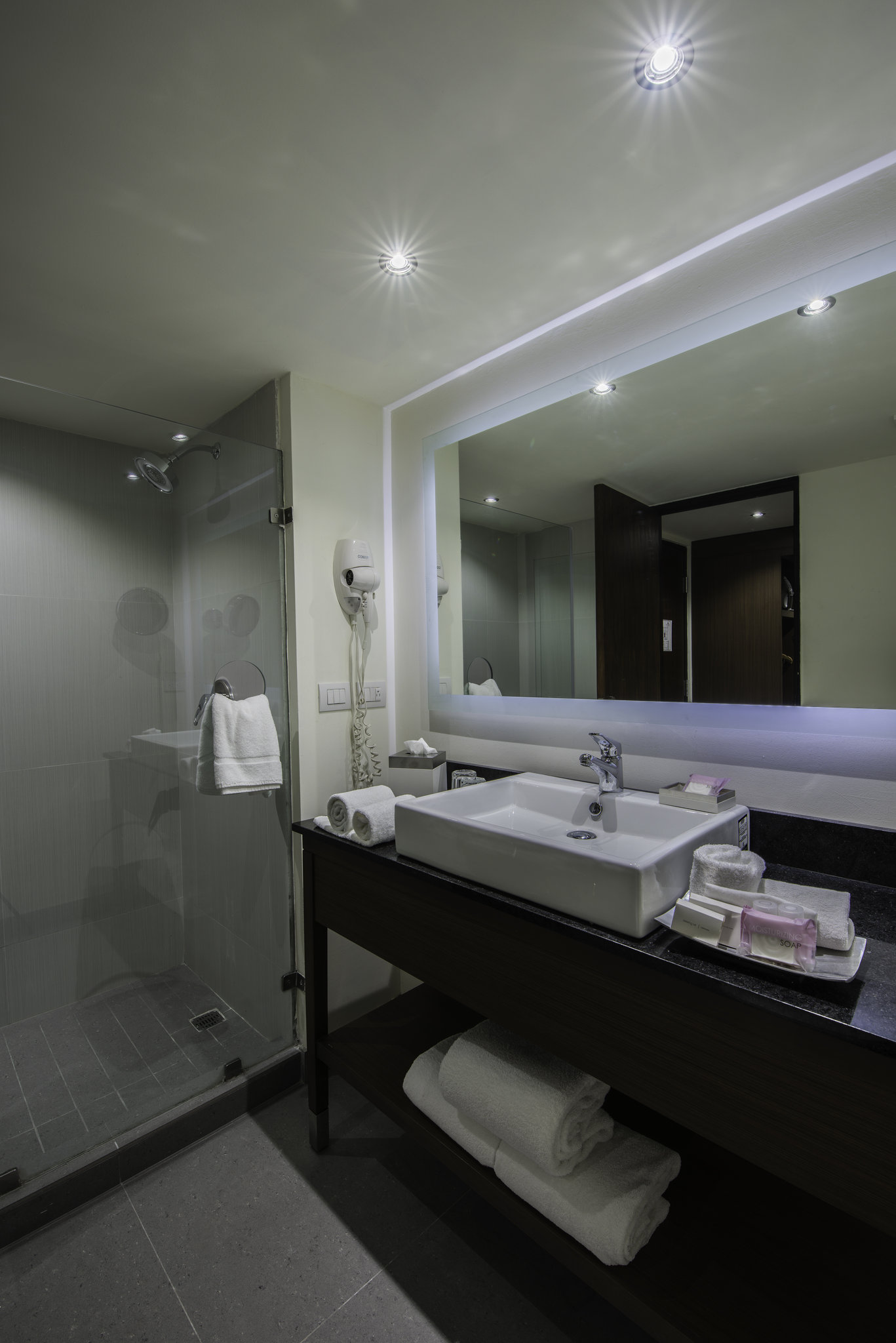 Images Holiday Inn Guadalajara Expo by IHG