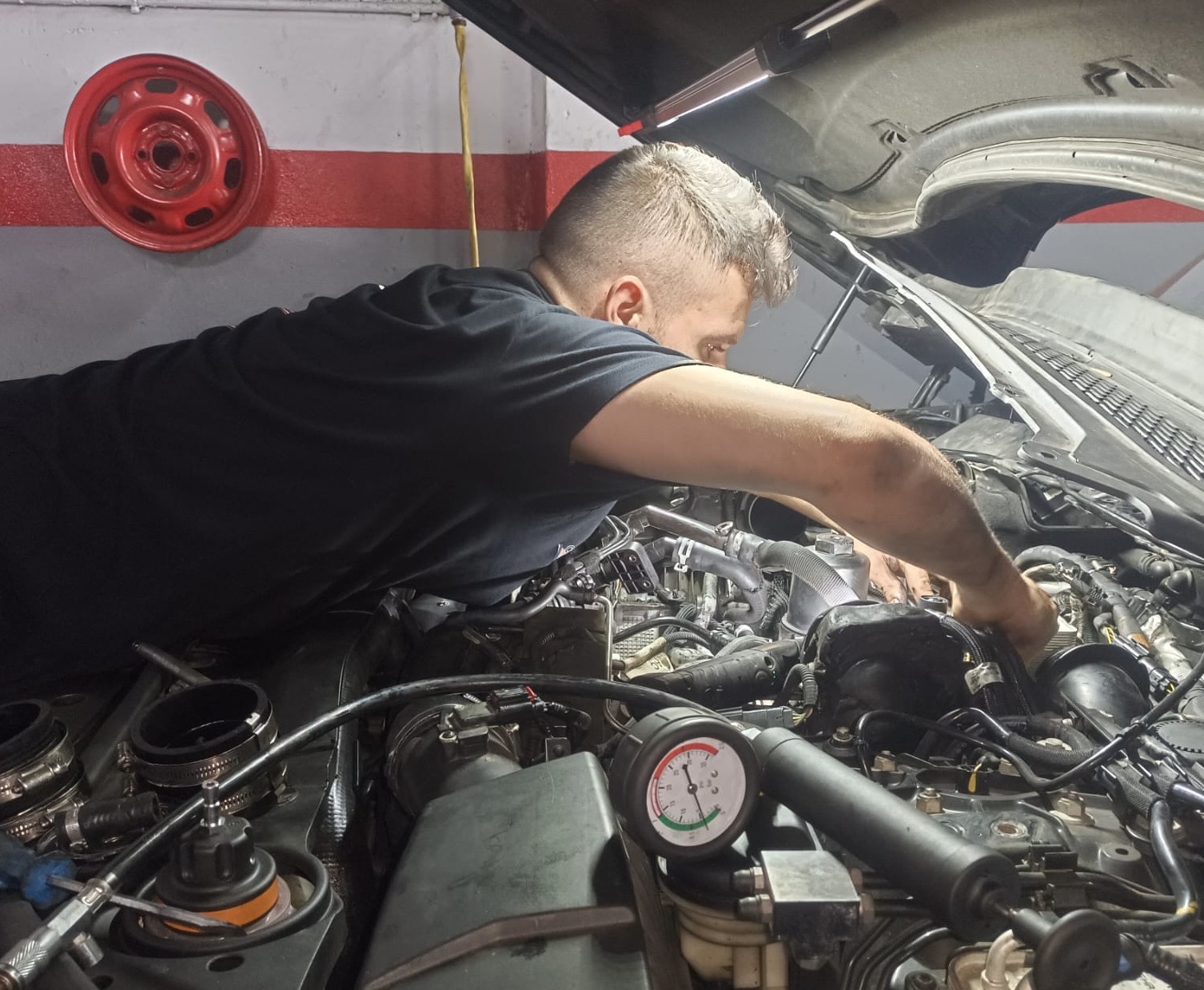 Images Piltbull Garage