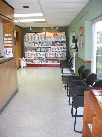 Images VCA Lake Jackson Animal Hospital