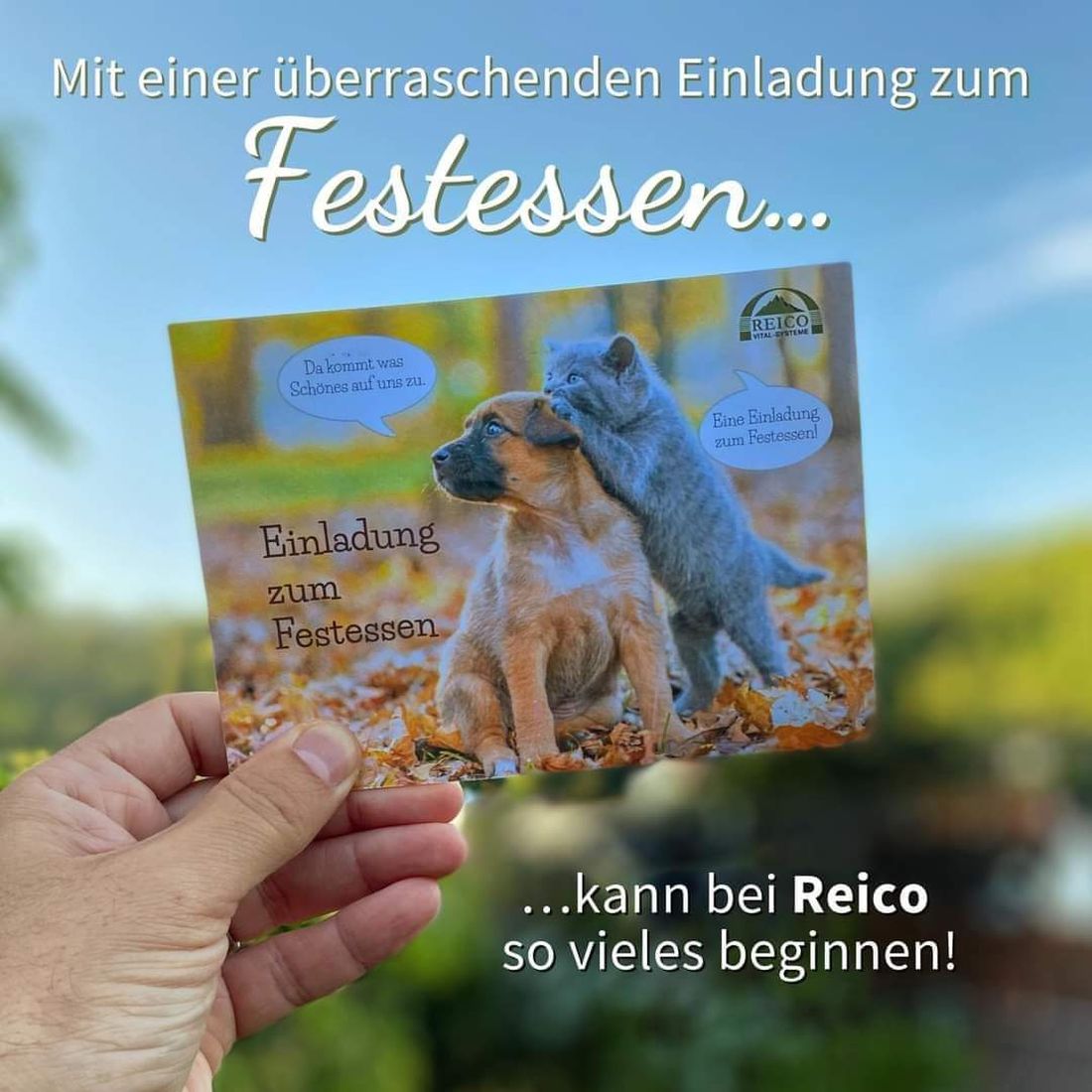 Bild 11 von Tanja Stieblehner - Ernährungstrainerin REICO VITAL - Spezialist für Hund, Katze und Mensch