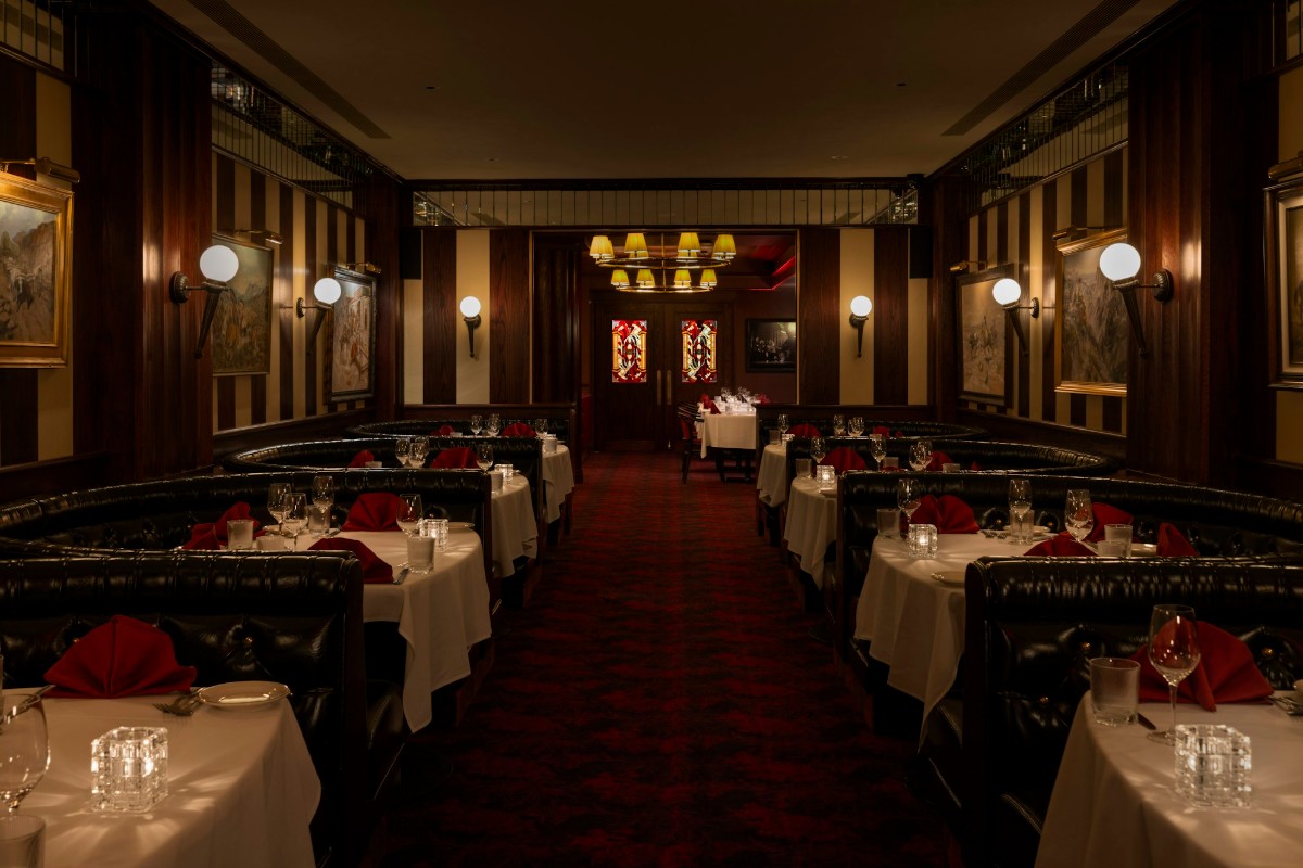 Golden Steer at One Fifth Image