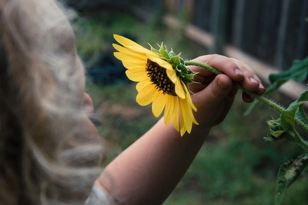 Images A Joy Story Photography