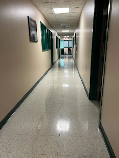 MS Pro Cleaning Services Image