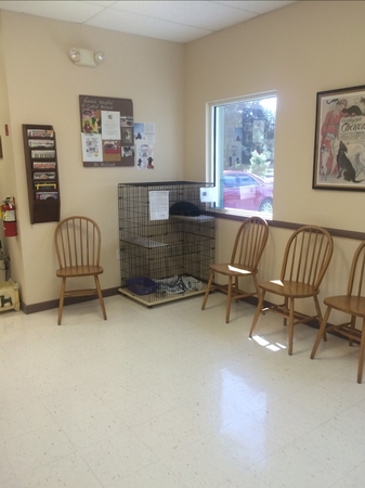 Images Animal Hospital of Central Brevard