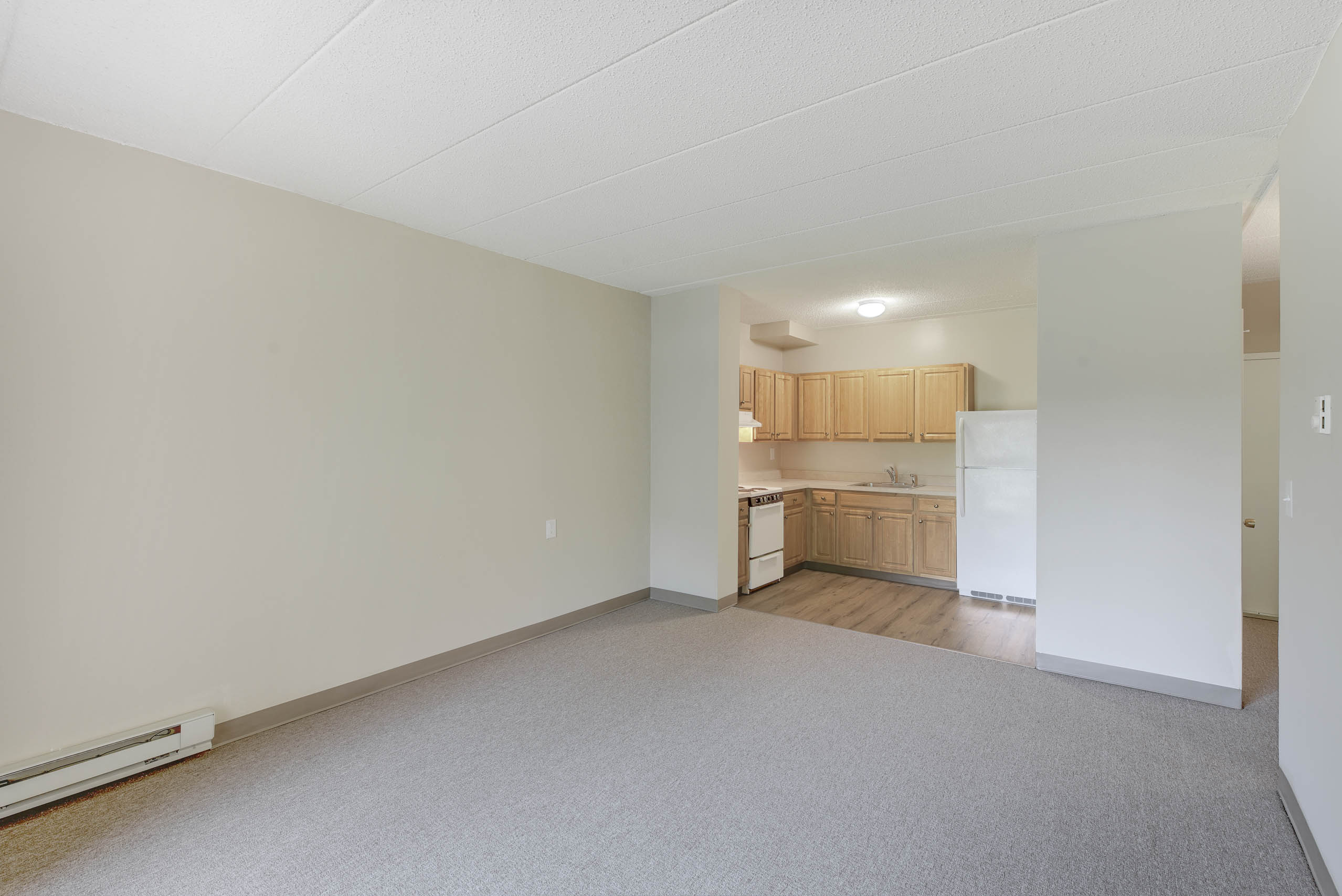 Empty room with a kitchen in the background.
