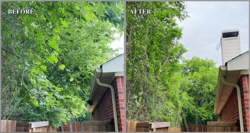 Before and After 