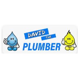 David the Plumber