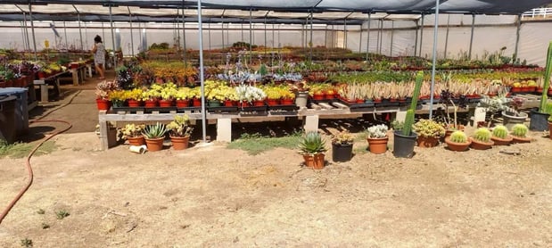 Images Rios Landscaping