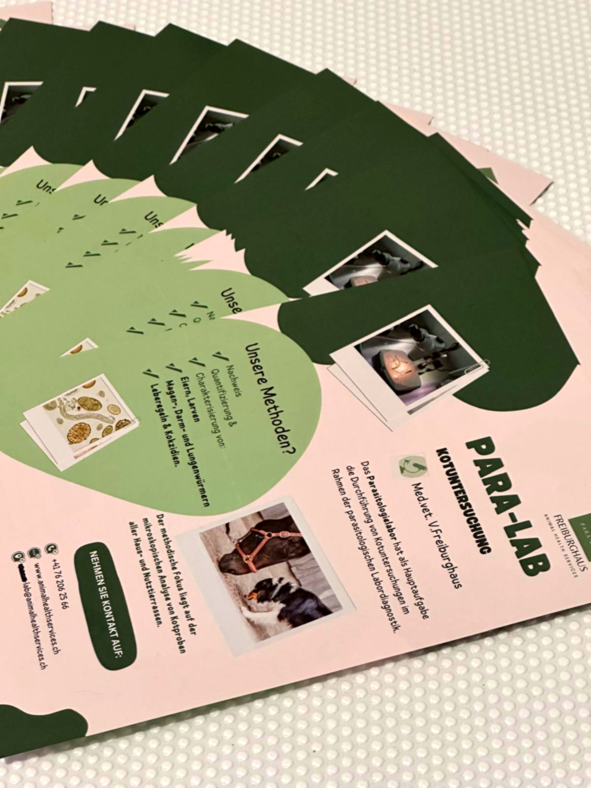 Freiburghaus, Animal Health Services, Schulstrasse 18 in Möhlin