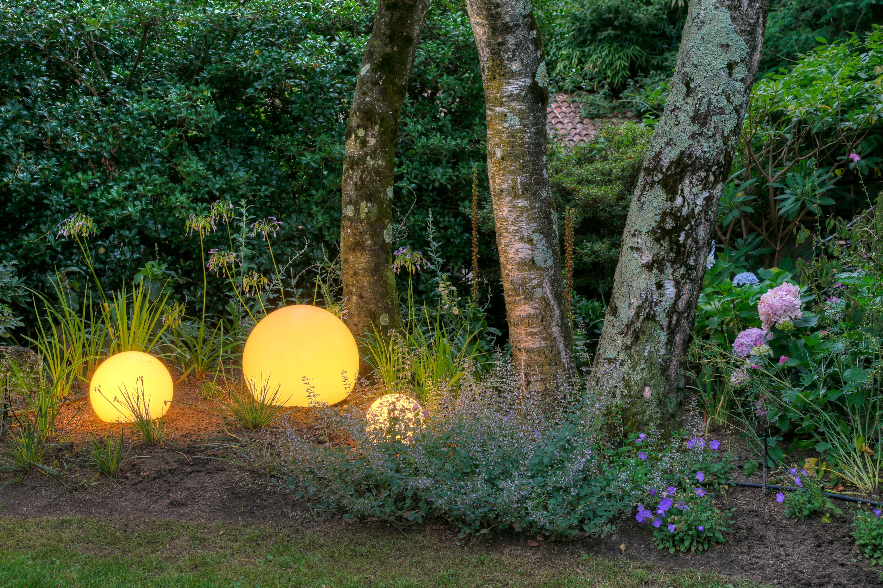 Bilder AQVA Irrigation & Outdoor Lighting Solutions