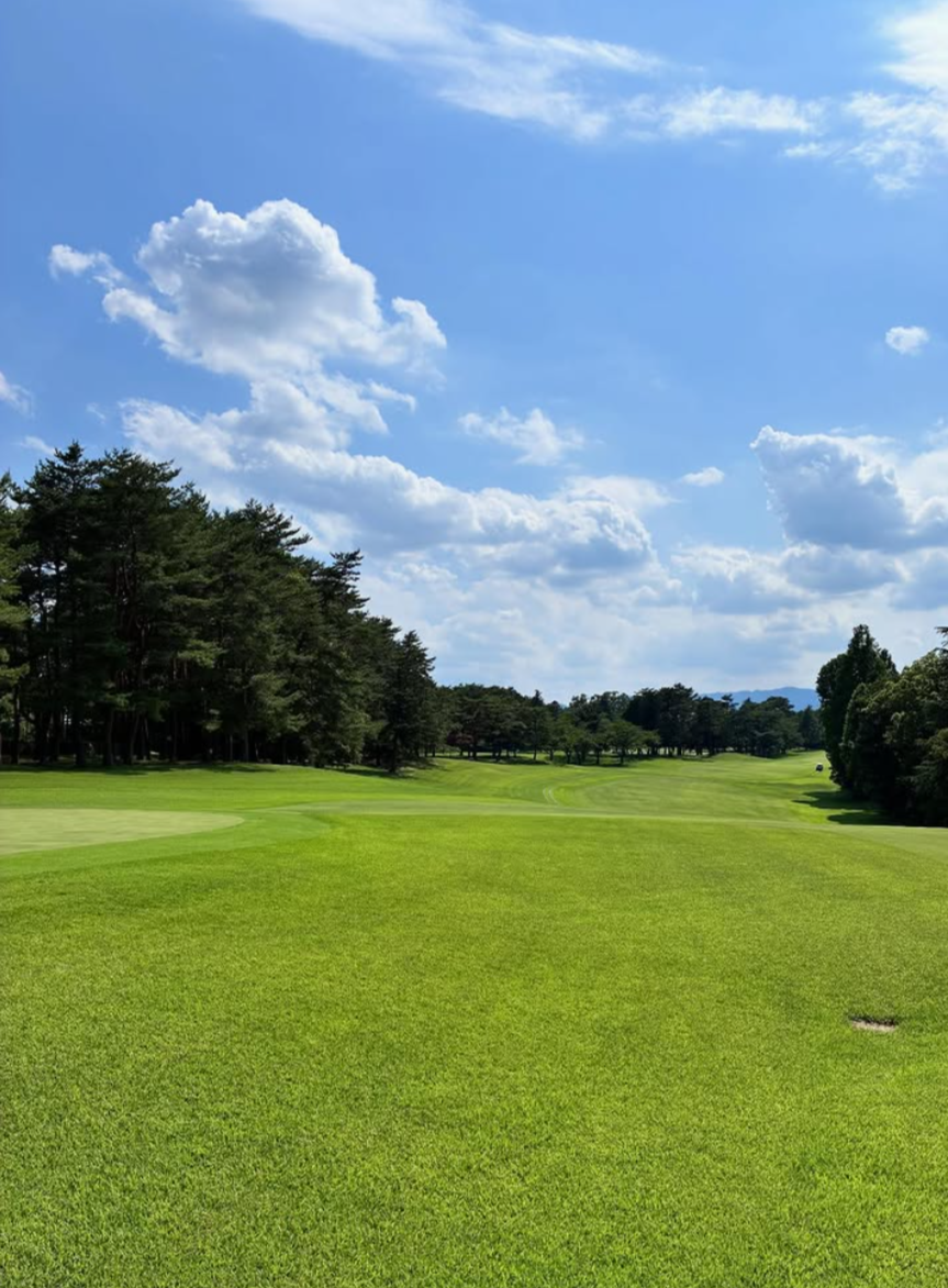Images VZONEGOLF