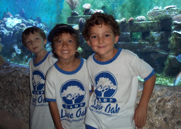 Images Camp Live Oak