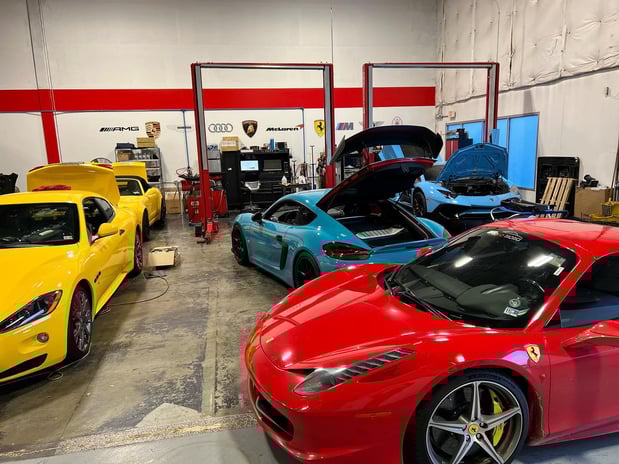 Images Loudoun County Exotics