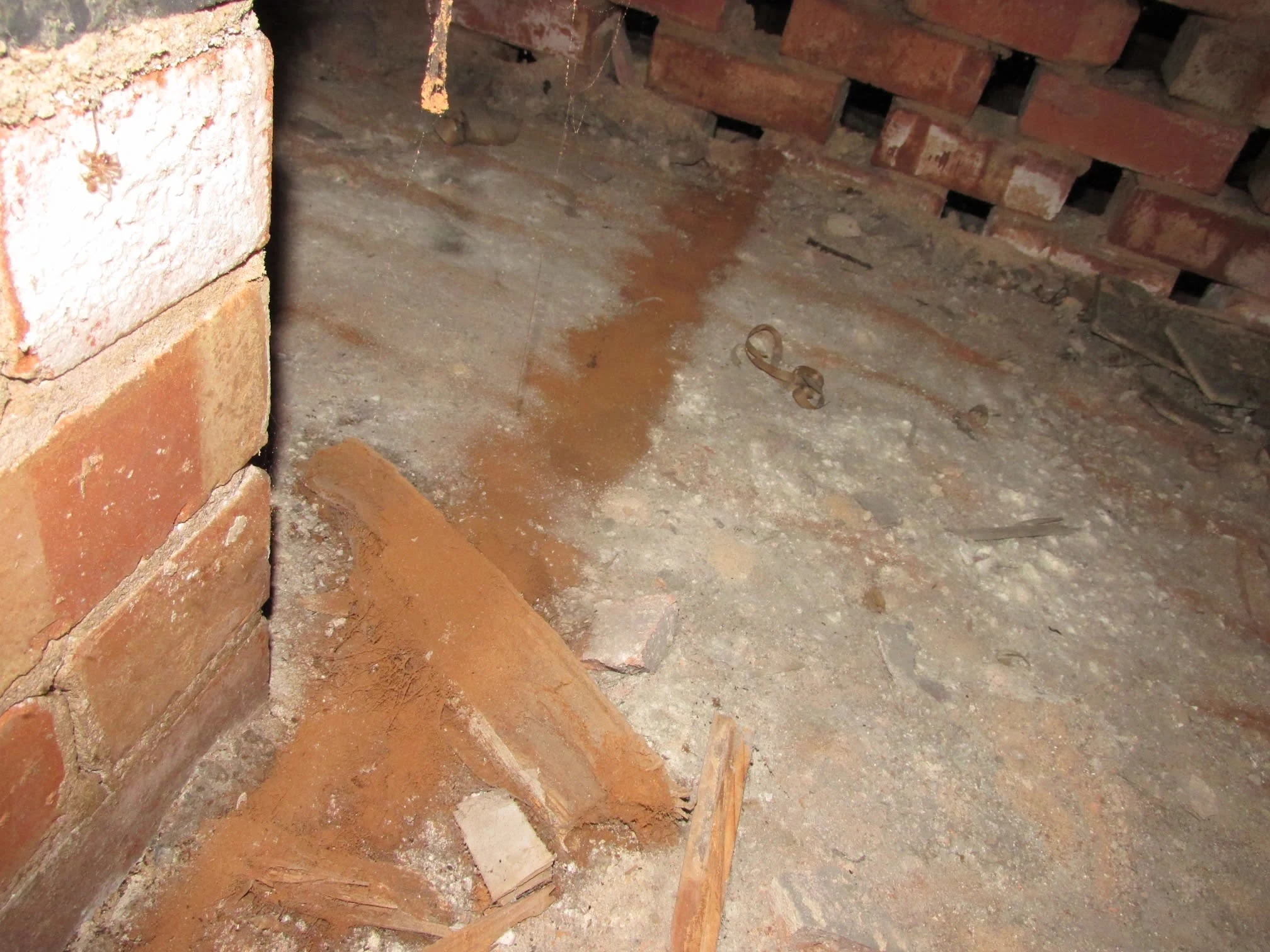 Images Damp Detectives