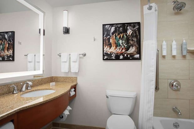 Images Hilton Garden Inn Fort Worth Medical Center