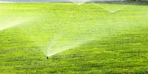 Lexington Landscaping Company Shares Ways to Ensure Proper Lawn Drainage Sharp Lawn Inc. Nicholasville (859)253-6688