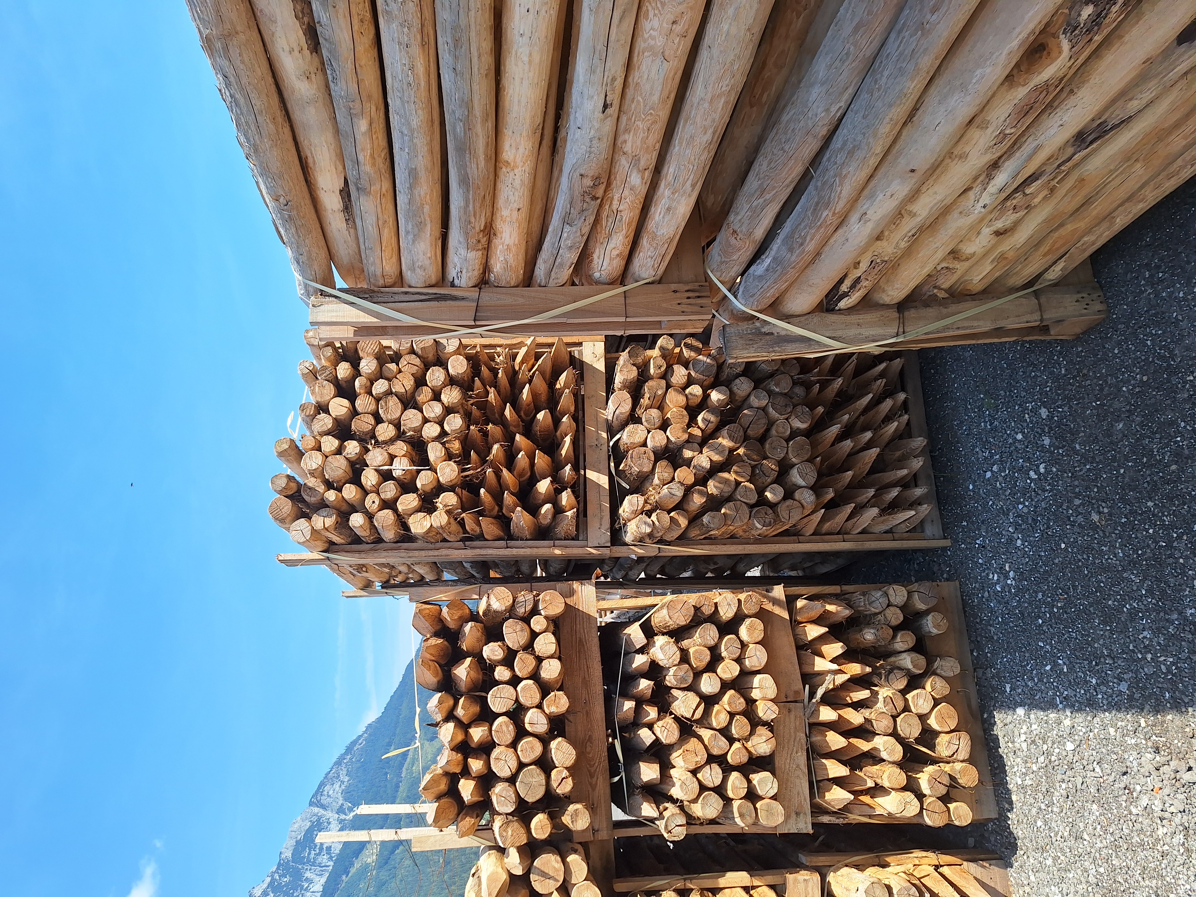 Bild 11 von Lettner Holzhandel