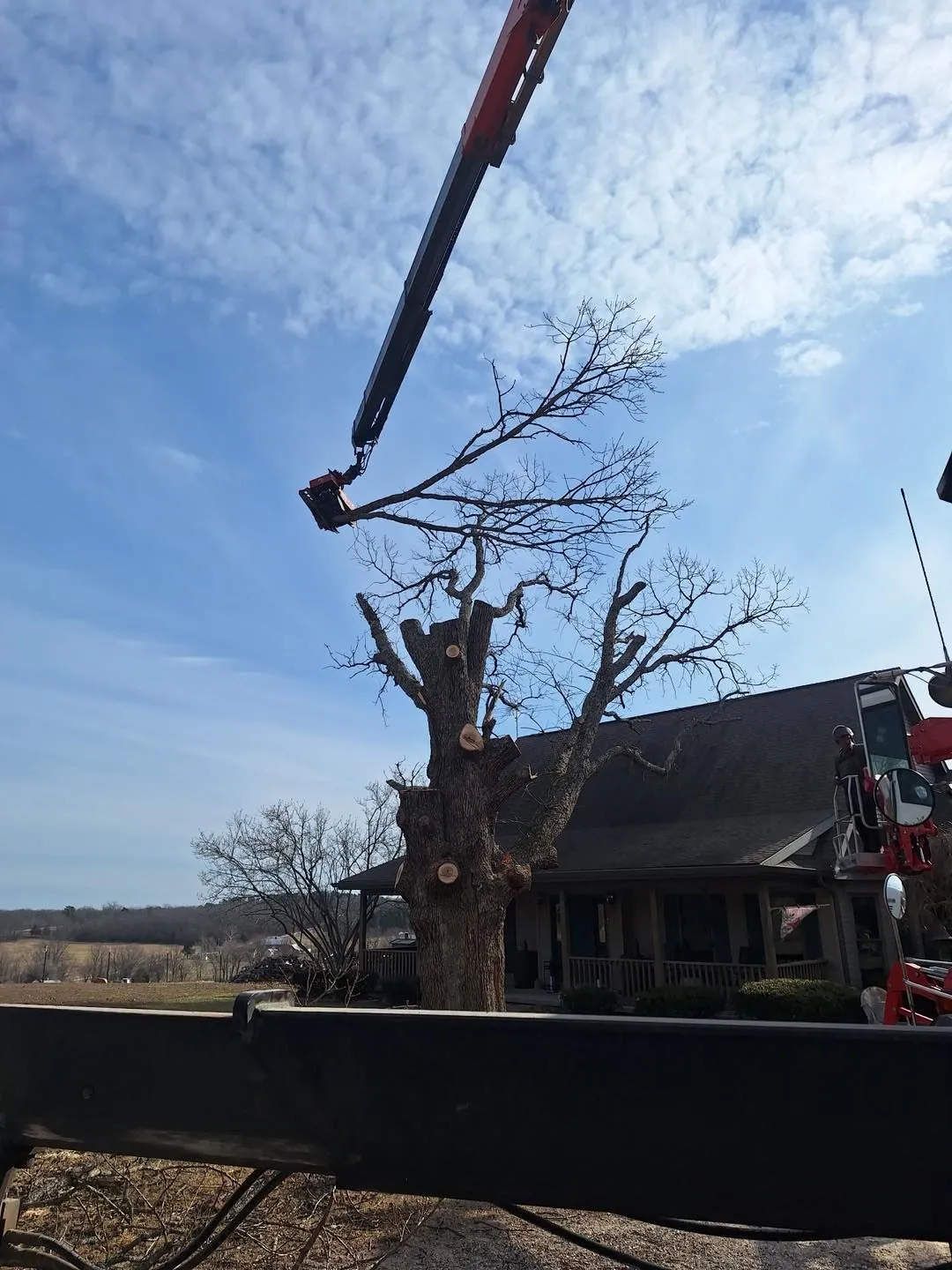 Casey's Tree Service LLC Image