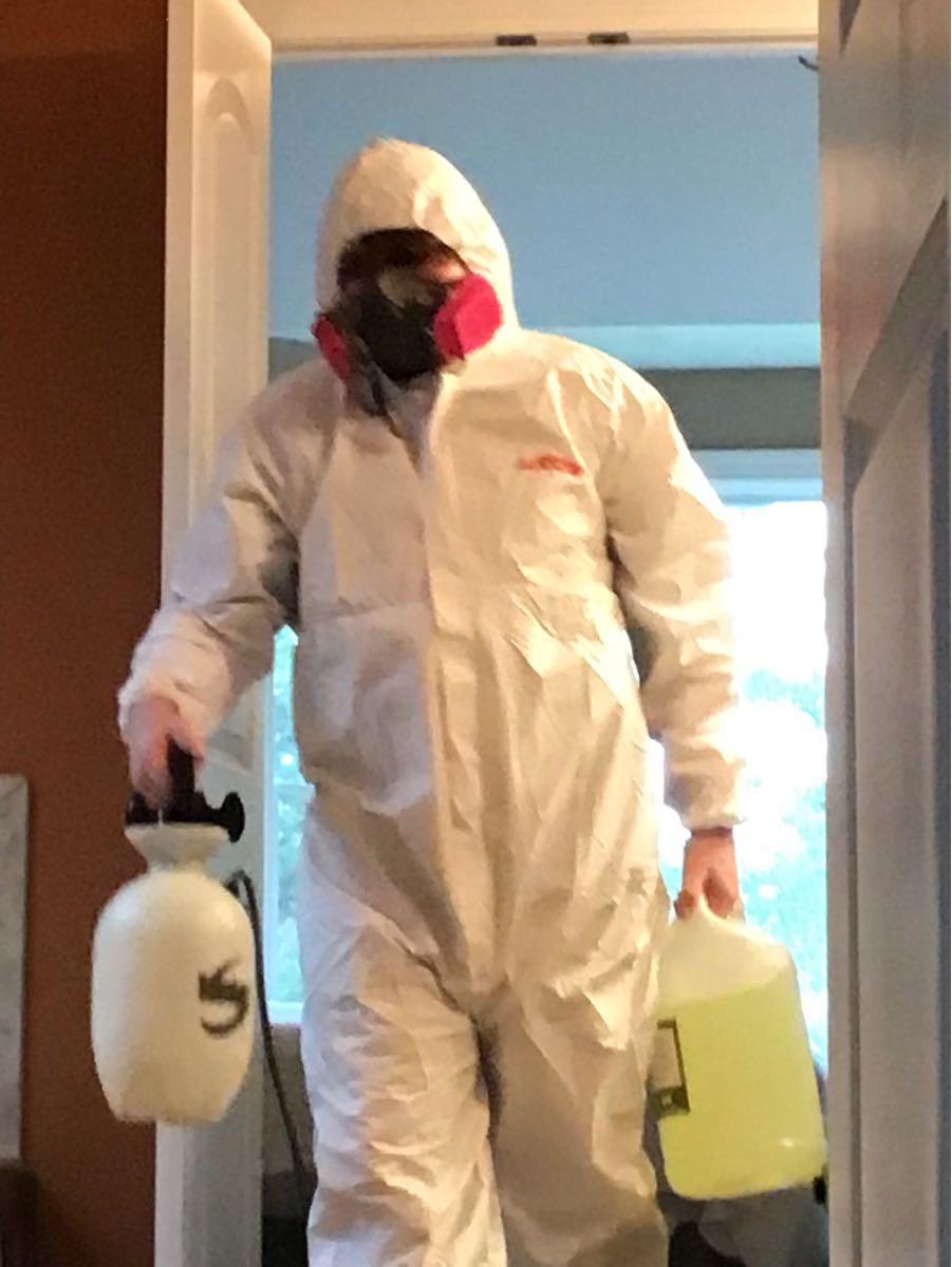 SERVPRO technicians cleaning a mold damage home in Massillion, Ohio.